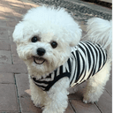 Profile picture for wallet 0x8c20…42f7