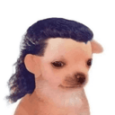 Profile picture for wallet 0x4f6c…be8c