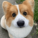 Profile picture for wallet 0xe9e5…8ce3