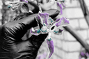 Profile picture for wallet 0xdbbe…486f