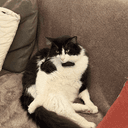 Profile picture for wallet 0x18d4…d6cf
