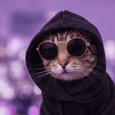 Profile picture for wallet 0xb50f…82e2