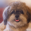 Profile picture for wallet 0xb22e…6d88