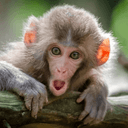 Profile picture for wallet 0xceb7…e9e4
