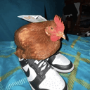 Profile picture for wallet 0x3bb2…95e4
