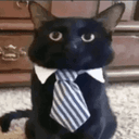 Profile picture for wallet 0x7693…470f
