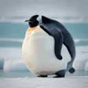 Profile picture for wallet 0x659f…e7c9
