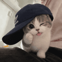 Profile picture for wallet 0x9034…5270