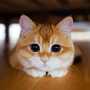Profile picture for wallet 0xe7b8…5367