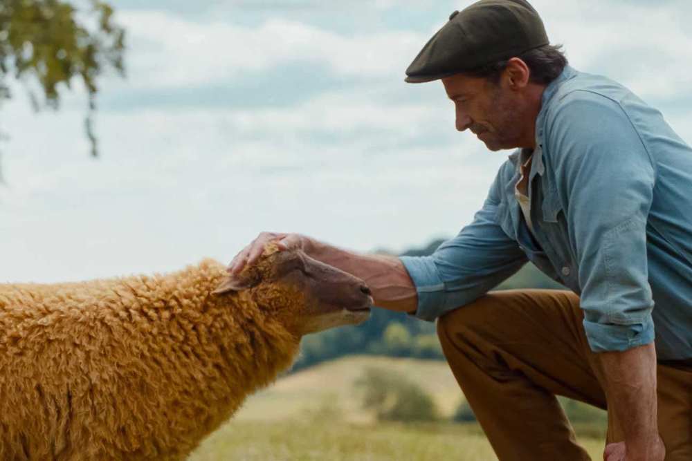 Will "The Sheep Detectives" Opening Weekend Box Office be greater than 18m? market image