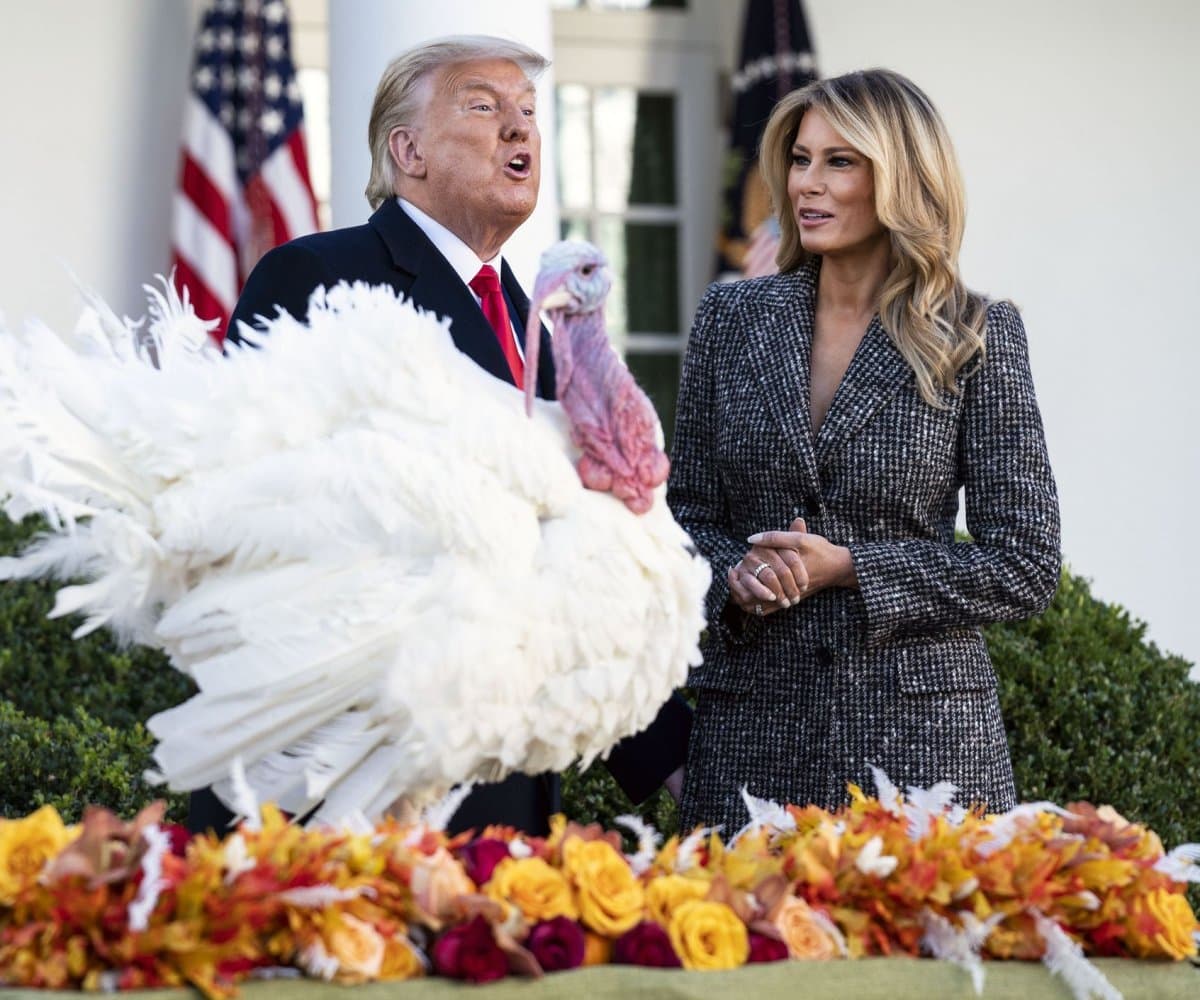 Will Trump say the "N word" in November? market image