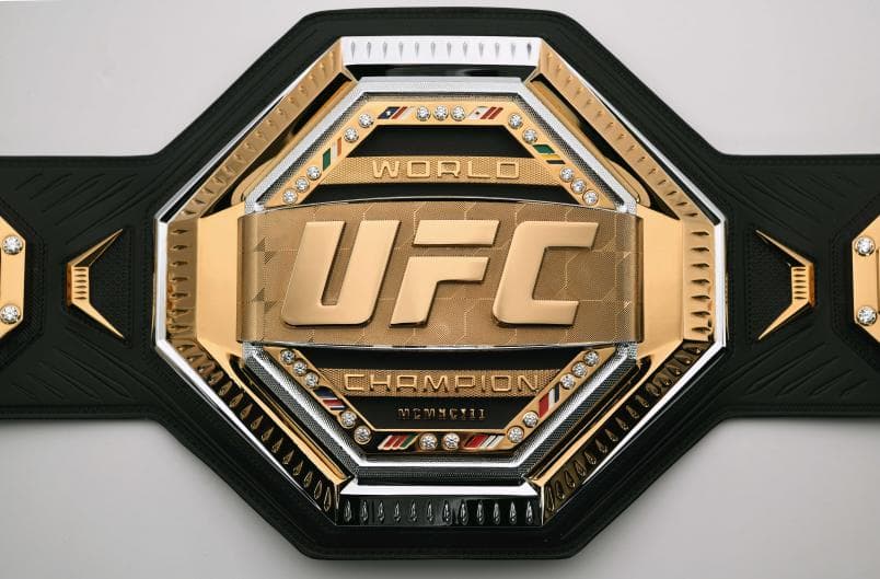 Will Curtis Blaydes be the UFC Heavyweight Champion on December 31, 2026? market image