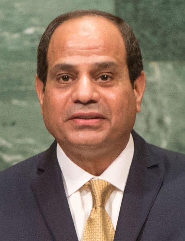 Will Abdel Fattah el-Sisi be the first leader out in 2025? market image