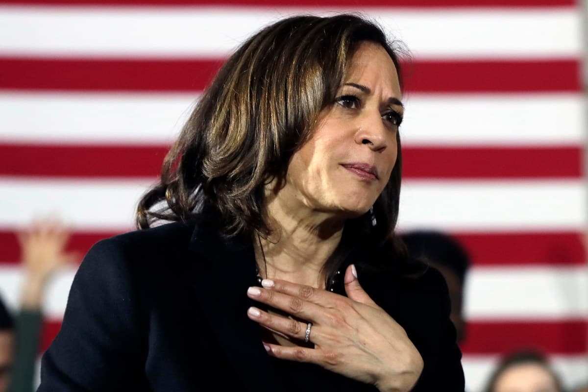 Kamala publicly concedes by noon Wednesday? market image