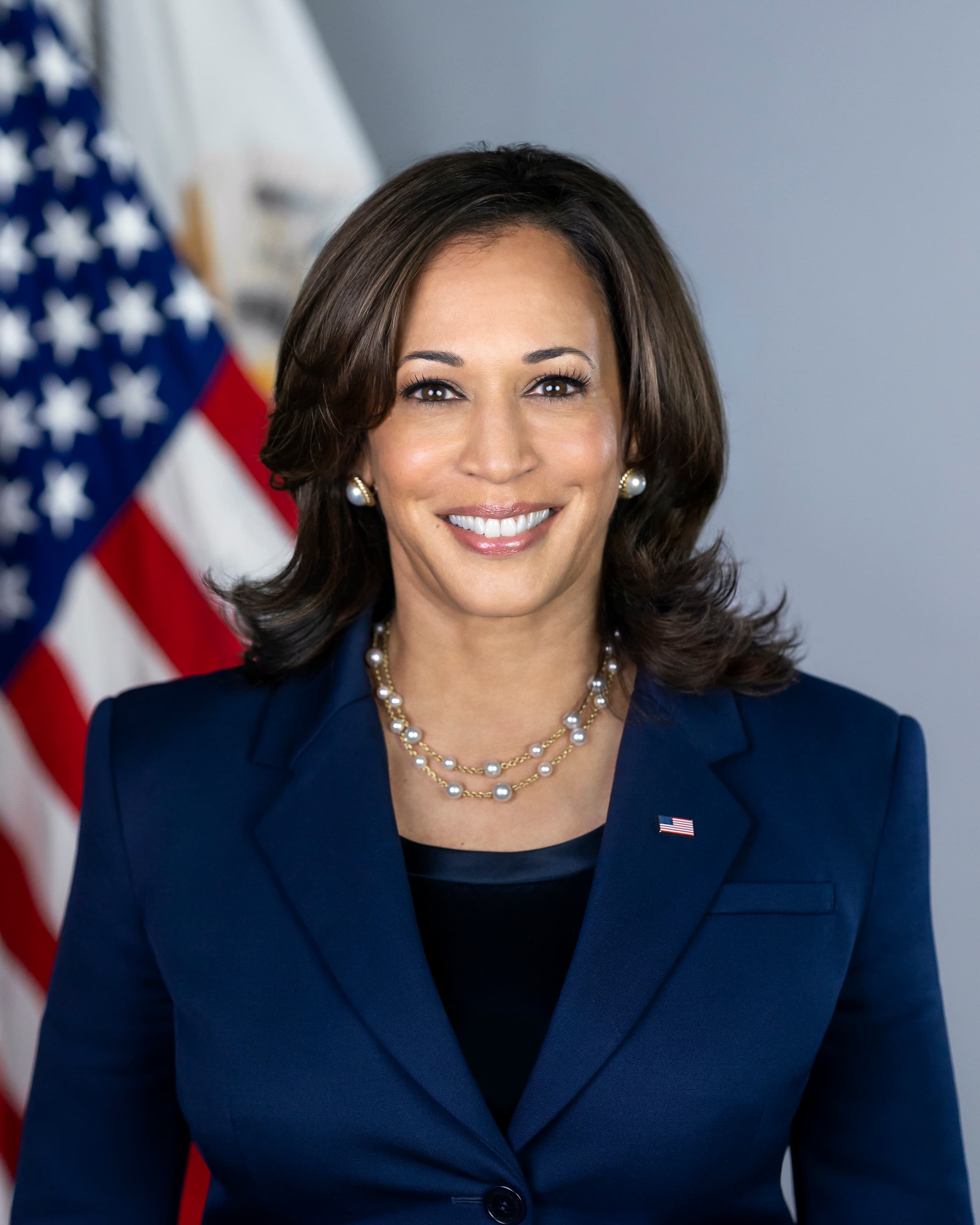 Will Kamala Harris win the 2024 US Presidential Election? market image