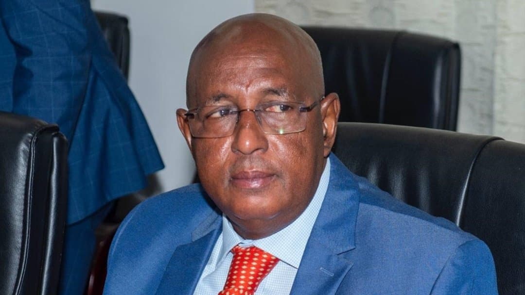 Will Mamadu Iaia Djaló win the 2025 Guinea-Bissau presidential election? market image