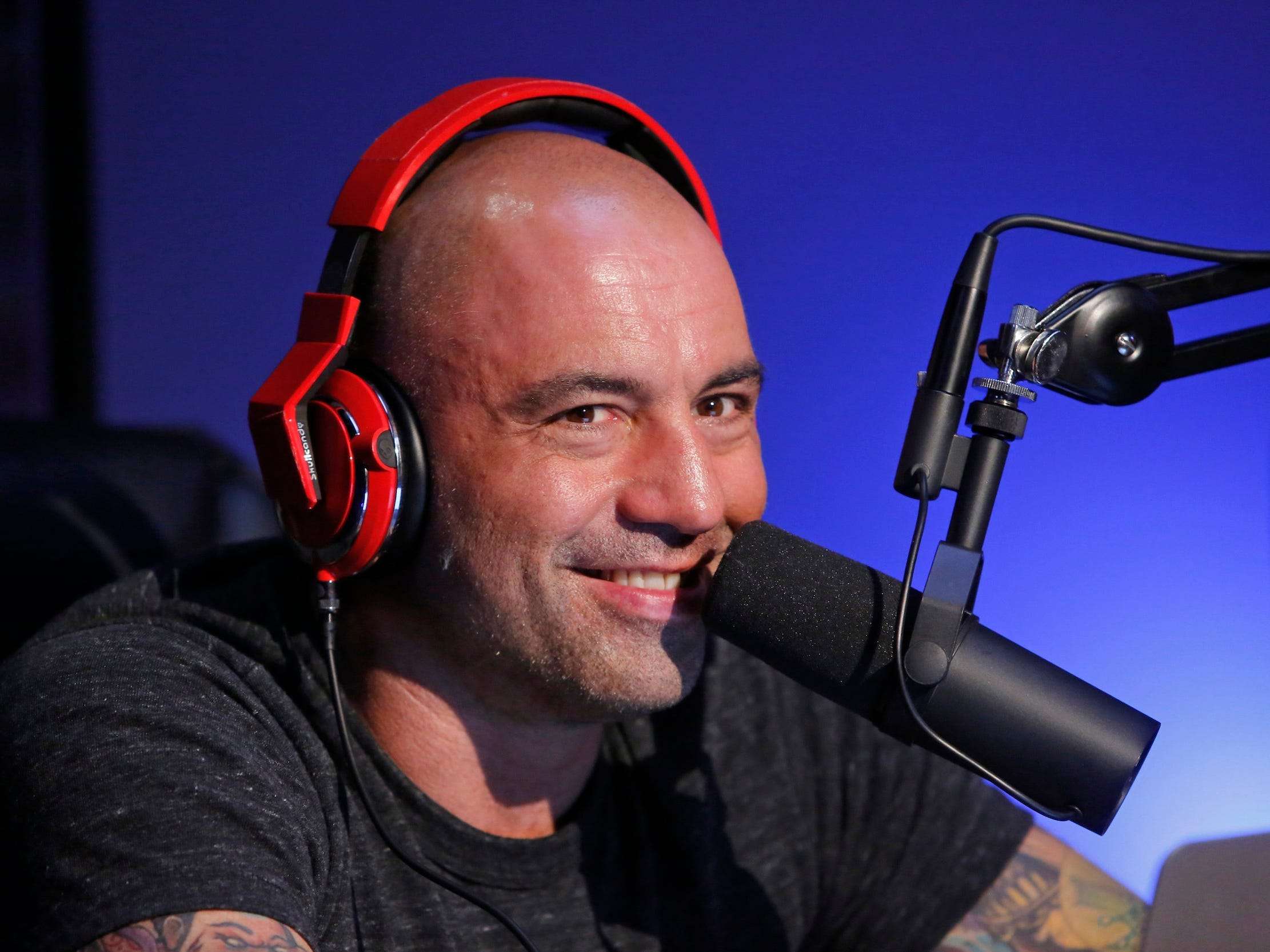 Will Trump go on Joe Rogan before election? market image