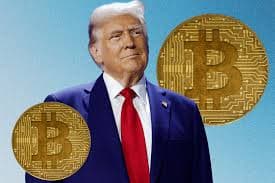 Will Trump launch a coin by December 31? market image