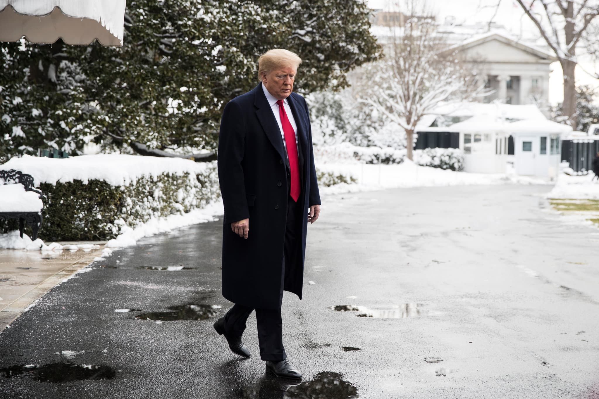 Will Trump win Alaska by 6+ points? market image