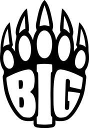 BIG logo