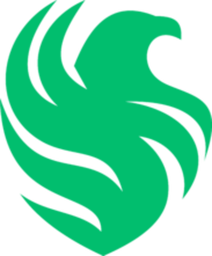 Falcons Force logo