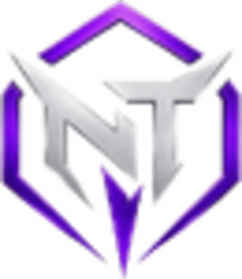 Nice Try logo