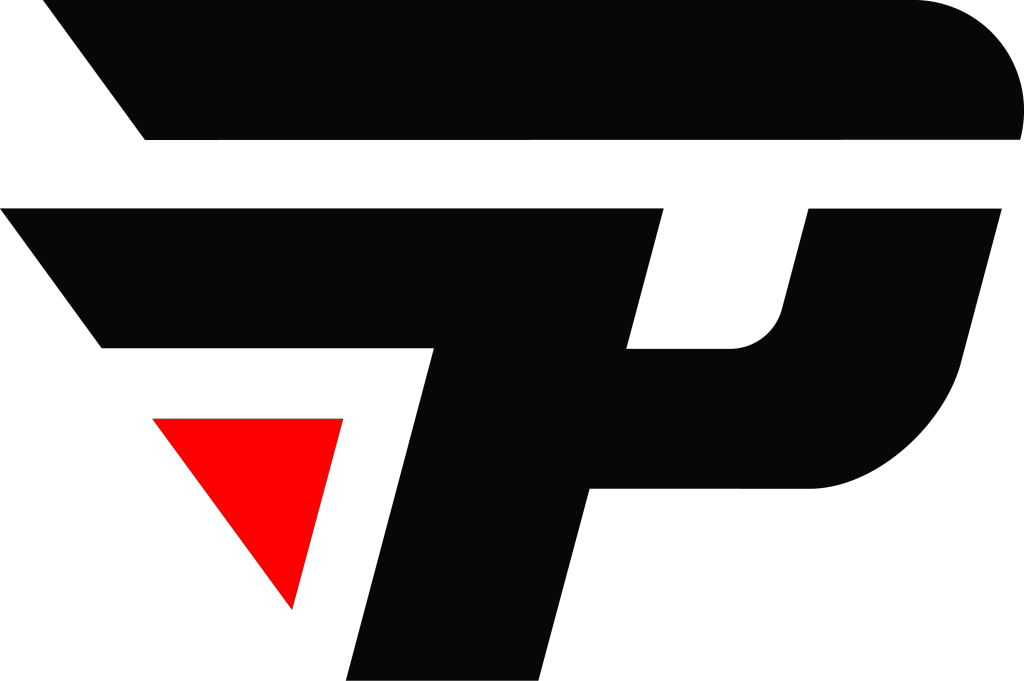 paiN logo