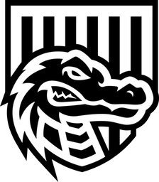 CyberHero logo
