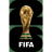 FIFA World Cup icon